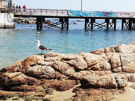 Caleta el Quisco