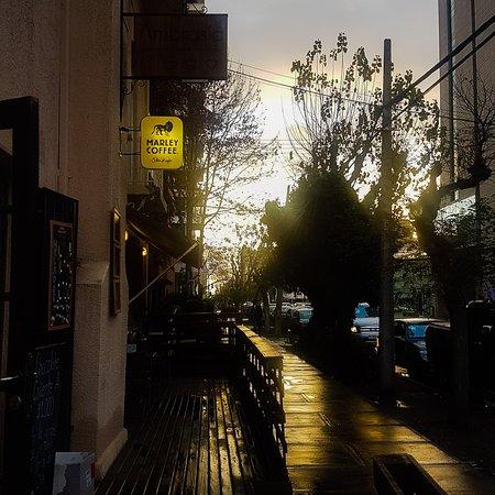 Ambrosía Café