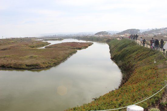 Humedal De Cartagena