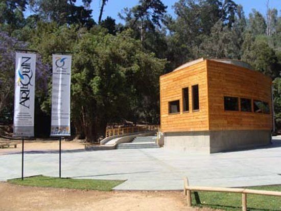 Museo Artequin