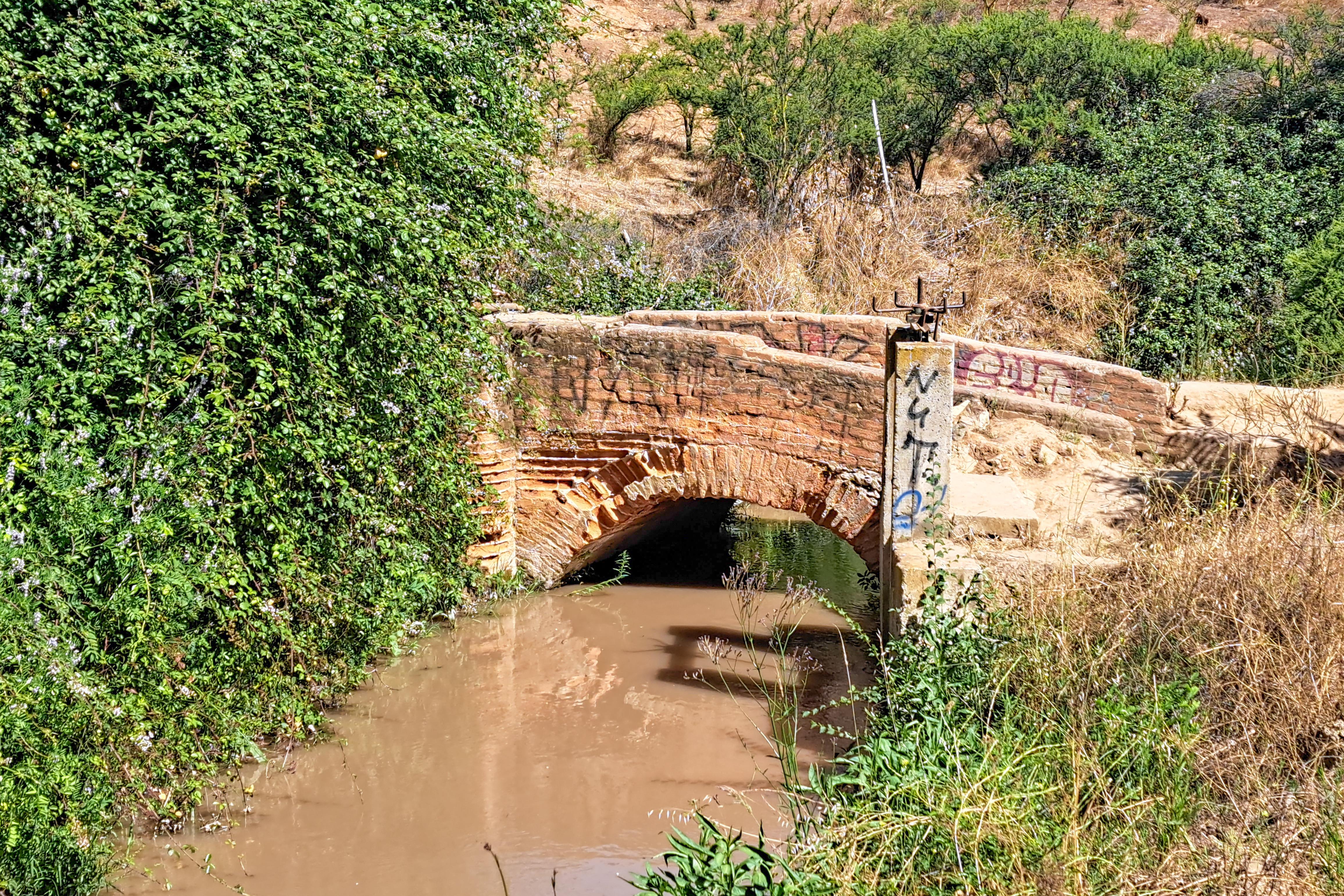 Canal Waddington