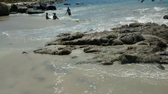 Playa Punta De Tralca