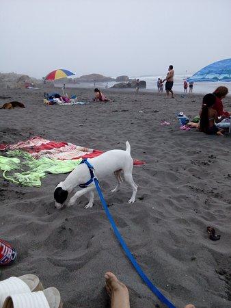 Playa Norte