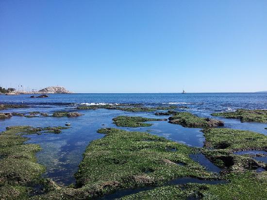 Penguin Island