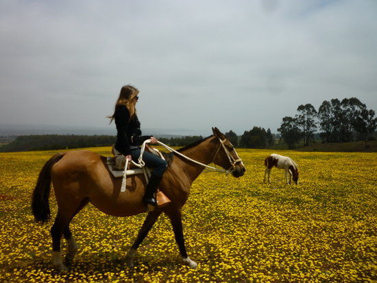 Turismo Campo Caballo
