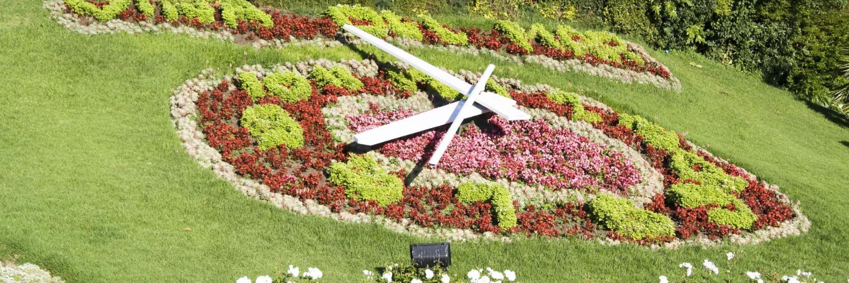 Reloj de Flores